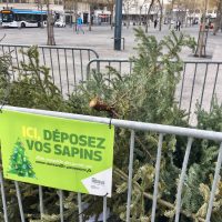 lieu-depot-sapin-noel
