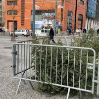 point-depot-recyclage-sapin-noel