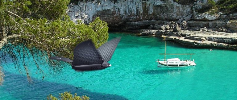 Bionic Bird – Un Marseillais invente le premier oiseau drone