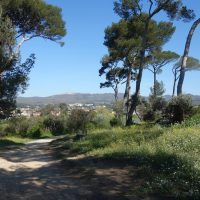 balade-parc-athena