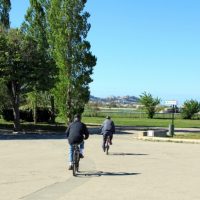 parc Bor&eacute;ly, Evadez-vous en ville : visitez le Parc Bor&eacute;ly, Made in Marseille