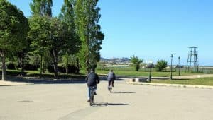 , Extension du parc Bor&eacute;ly : feu vert pour le projet au conseil municipal, Made in Marseille
