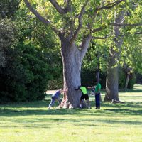 parc Bor&eacute;ly, Evadez-vous en ville : visitez le Parc Bor&eacute;ly, Made in Marseille