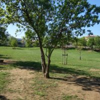 espace-vert-famille-detente-athena