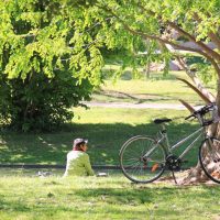 parc Bor&eacute;ly, Evadez-vous en ville : visitez le Parc Bor&eacute;ly, Made in Marseille