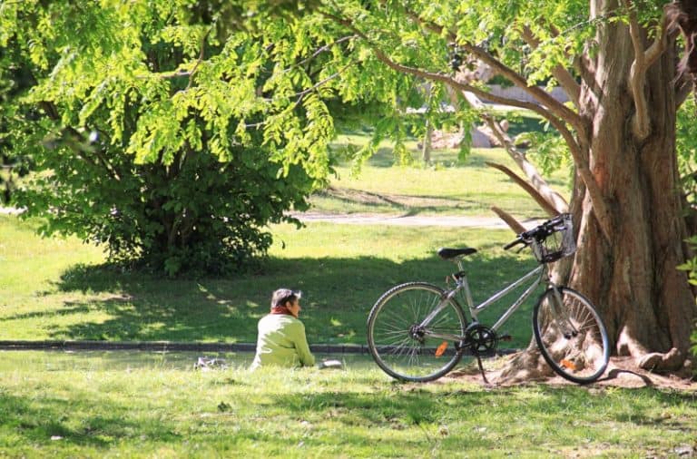 Les parcs et jardins de Marseille ouvrent jusqu&rsquo;à 22h tous les soirs de l&rsquo;été
