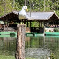 parc Bor&eacute;ly, Evadez-vous en ville : visitez le Parc Bor&eacute;ly, Made in Marseille