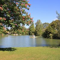 parc Bor&eacute;ly, Evadez-vous en ville : visitez le Parc Bor&eacute;ly, Made in Marseille