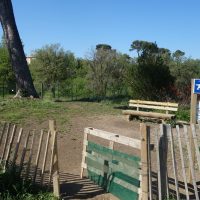 parc-athena-espace-chien