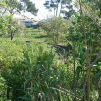 reste-vestige-ruine-parc-athena