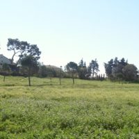 visiter-parc-athena-quartier-nord