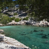 baignade-calanque-port-pin