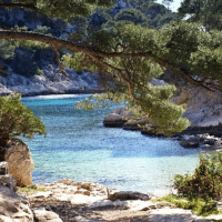 , Le guide pratique des plages de Marseille, Made in Marseille