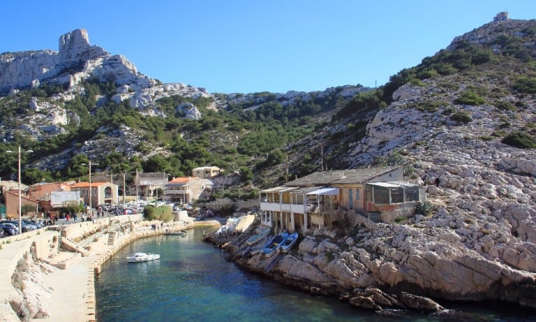 Marseille s&rsquo;engage dans la lutte contre une algue japonaise qui menace les fonds marins