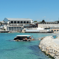 vid&eacute;o, Une vid&eacute;o pour comprendre tous les projets marseillais jusqu&rsquo;en 2025 !, Made in Marseille