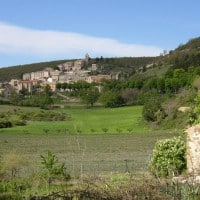 banon-vallee-coulon-montagne-champs