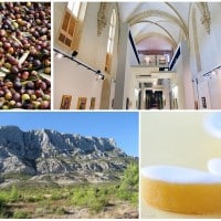 guide-provence-visite-tourisme-aix