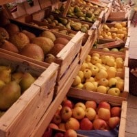 agriculture-local-saison-bio-provence