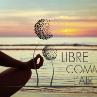 Image-logo-Libre-comme-lair