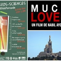 agenda-evenement-culture-marseille-environ