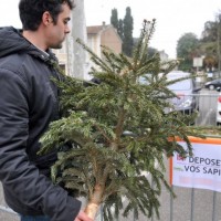 collecte-sapin-noel-marseille-provence