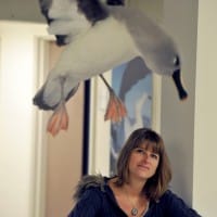 24/11/15 Antarctic expedition woman