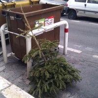 eviter-sapin-trottoir-demarche-ecologique