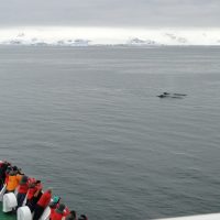 exp&eacute;dition, Une Marseillaise dans la 1ere exp&eacute;dition scientifique 100% f&eacute;minine en Antarctique&nbsp;, Made in Marseille