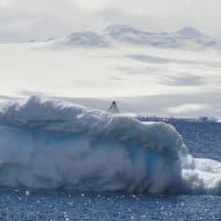 exp&eacute;dition, Une Marseillaise dans la 1ere exp&eacute;dition scientifique 100% f&eacute;minine en Antarctique&nbsp;, Made in Marseille