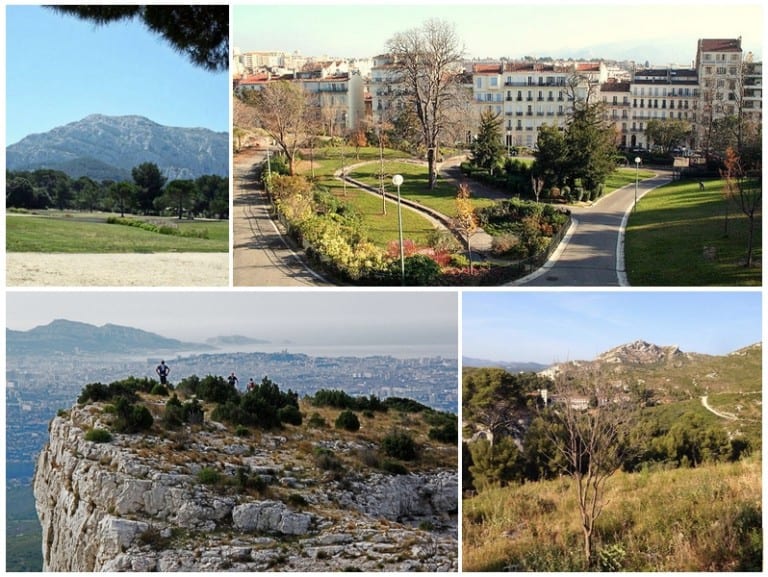 Où aller pour promener son chien à Marseille ?