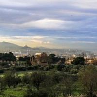 sainte-marthe-agriculture-savon-marseille