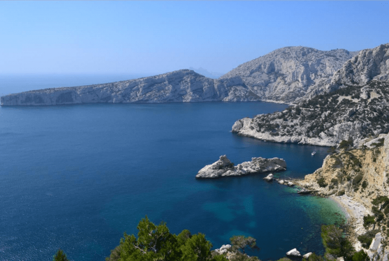 Deux rorquals font surface dans le Parc national des Calanques