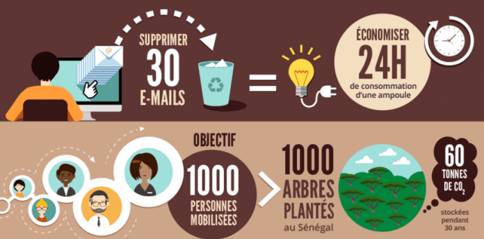 vide-boite-mail-Newmanity-arbre