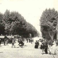 avenue-prado-archive