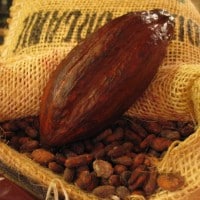 cacao-huile-olive-confiserie-marseille