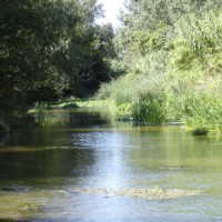 eau-agence-rhone-mediterranee-corse