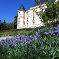 jardin-vegetation-arbre-plante