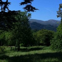 parc-sept-collines-buzine-marseille