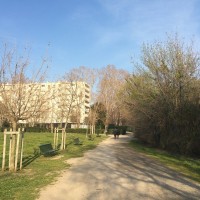 balade-apres-midi-famille-parc
