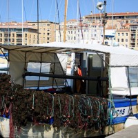 Vieux-Port, Balade sur le march&eacute; aux poissons du Vieux-Port, Made in Marseille