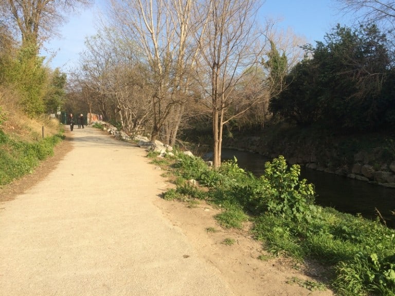 Découvrez le parc Henri Fabre et ses grandes étendues de verdure en plein cœur de Marseille
