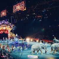 cirque-animaux-interdiction-la-ciotat