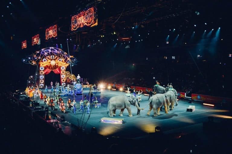 La Ville va interdire les animaux sauvages dans les cirques
