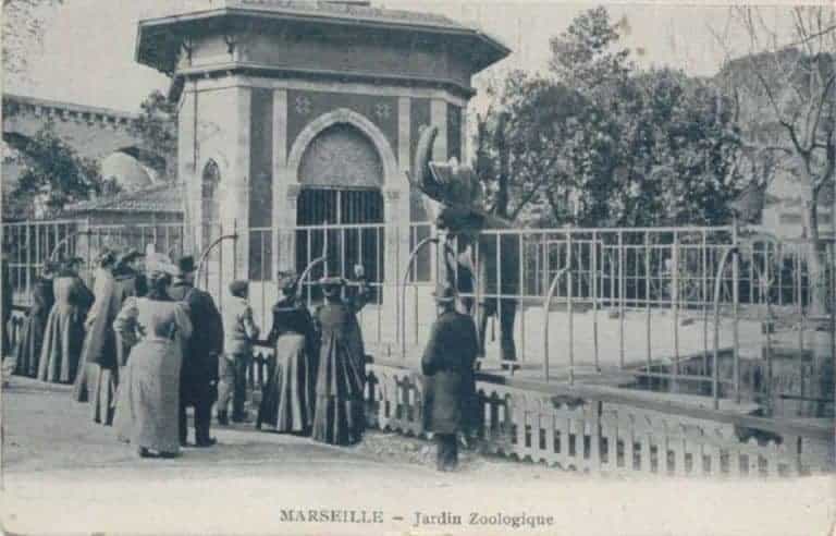 Des animaux en plein cœur de Marseille : l’époque du jardin zoologique