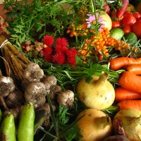 fruit-legume-bio-marche