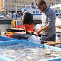 Vieux-Port, Balade sur le march&eacute; aux poissons du Vieux-Port, Made in Marseille
