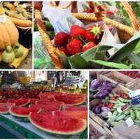 bio, Le bio de plus en plus pr&eacute;sent dans les cultures de la r&eacute;gion&nbsp;!, Made in Marseille