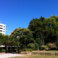 parc-central-bonneveine-espace-vert