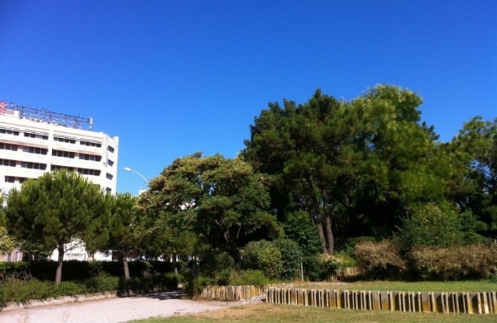 parc-central-bonneveine-espace-vert