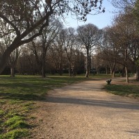 parc-henri-fabre-promener-chien